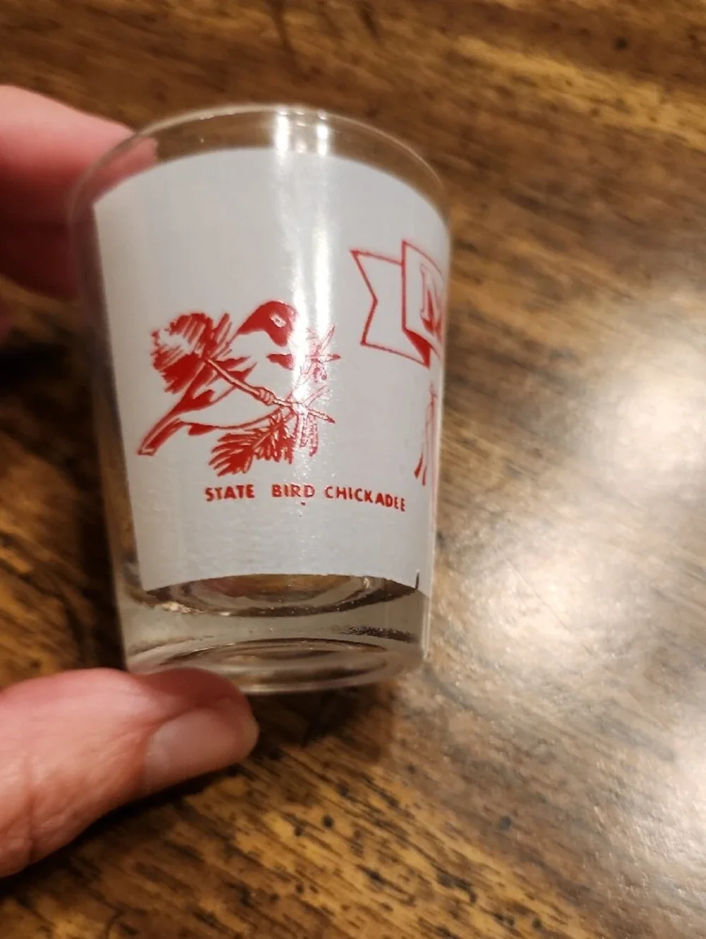 Maine Red Printed Shot Glass - Classic Souvenir